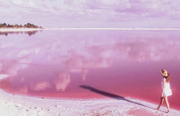 Tour Coloradas and Rio Lagarto