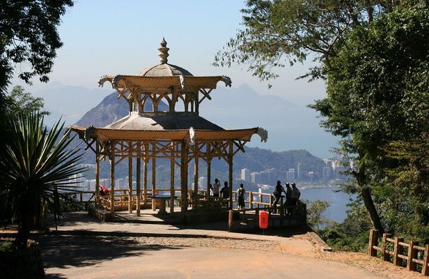 Chinese View and Tijuca Forest - Transport + Tour Guide