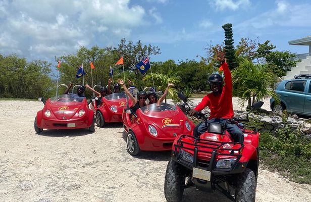 Love Buggy Island Tour with Lunch