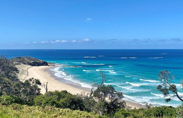 North Stradbroke Island WILDLIFE Adventure Tour from Brisbane