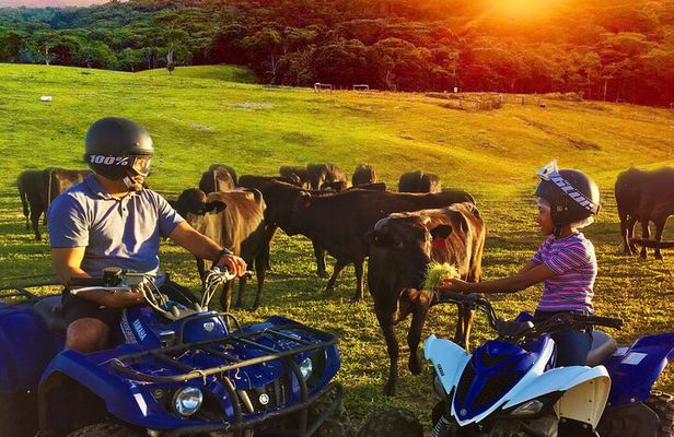 Kuranda Half Day Including Quad Bike Experience and Petting Zoo