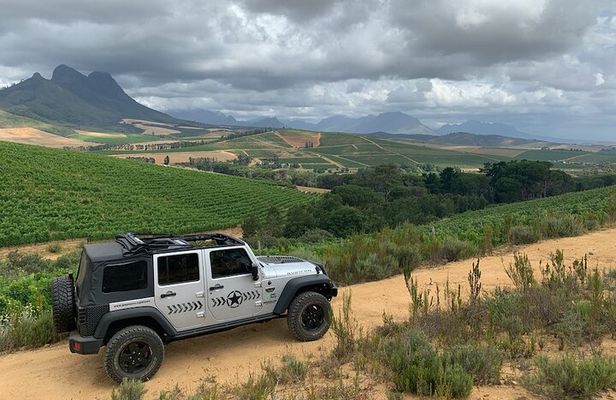 Full Day Stellenbosch Wine Tour