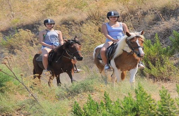 Horse Riding Safari In Kusadasi