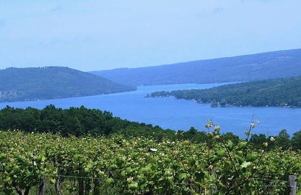 Keuka Lake Winery Tour