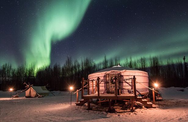 Alaskan Escape: Aurora Viewing & Dog Sledding Adventure Fairbanks