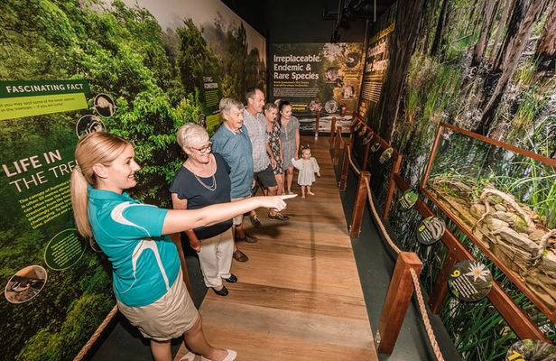 Cairns Aquarium by Twilight Tour