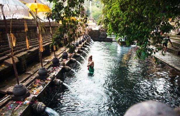 Private Shore Excursion: Highlights of Bali
