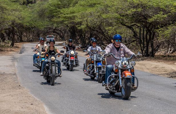 Harley-Davidson Guided Island Tours
