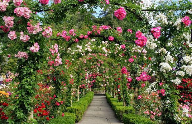 Private Butchart Gardens + Gardens at HCP Tour