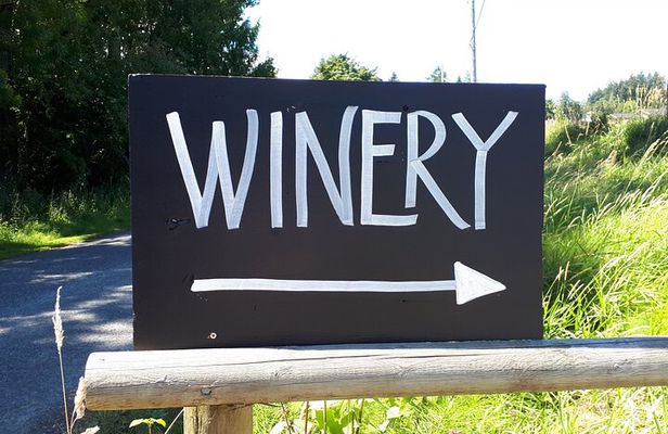 Private Saanich Peninsula Wine Tour