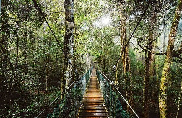 O'Reilly's & Lamington National Park from Gold Coast