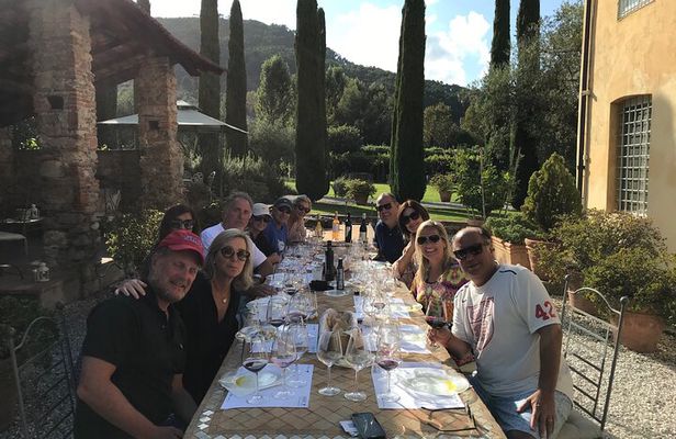 Wine tasting in Lucca "at home" with expert sommelier - 5 wines