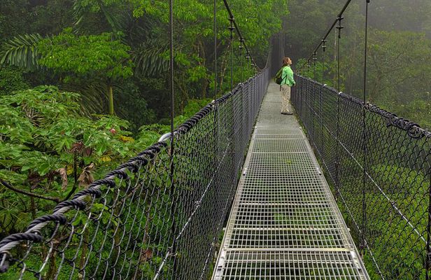 Hanging Bridges, Waterfall, Volcano Hike and Tabacon Hot Springs