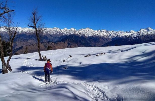 5 Days Kedarkantha Trek