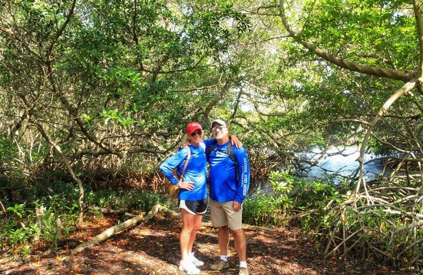 Private nature tour: Aruban mangrove forest & pristine coral reef