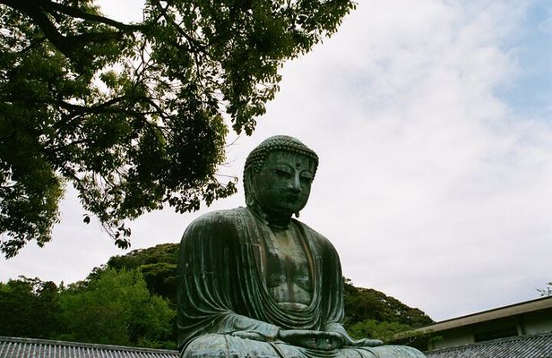 Private Full-Day Kamakura-Enoshima Tour with Bilingual Driver