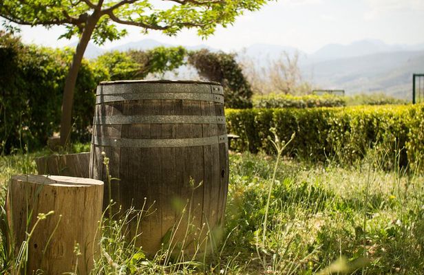 Petimezi and Moustalevria Private Tasting