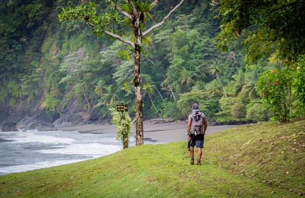 Full-Day Adventure in Corcovado National Park from Drake Bay