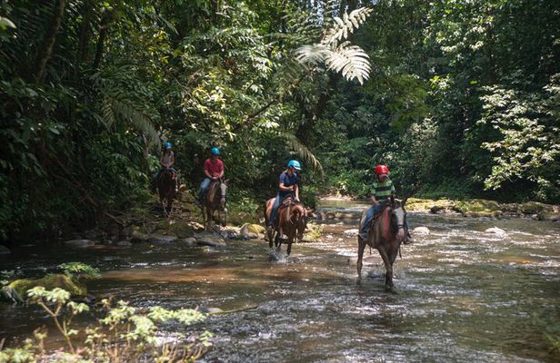 Sarapiqui Forest Horseback Riding Experience in Costa Rica