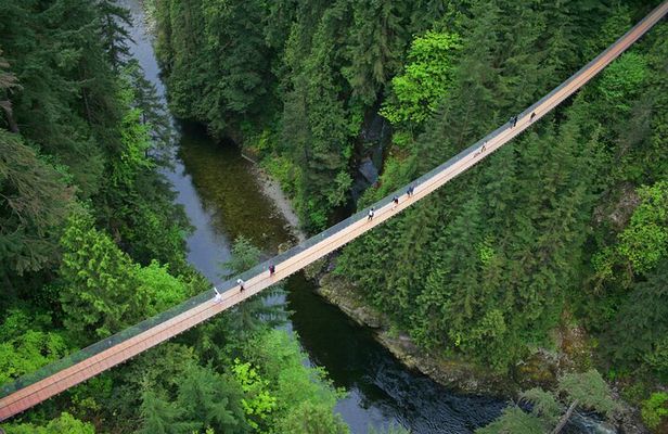 Vancouver City Sightseeing Tour: Capilano Suspension Bridge & Vancouver Lookout