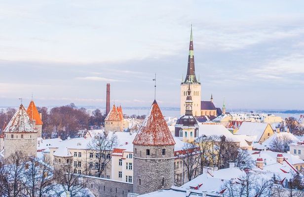 Half-Day Private Guided Sightseeing Tour of Tallinn