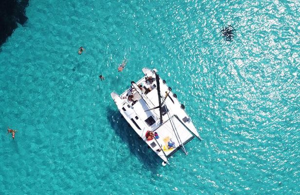 Catamaran excursions in the Asinara island National park