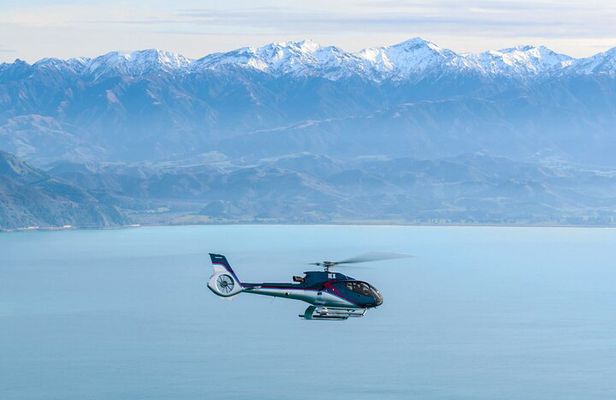 Kaikoura Helicopters Top n Tail Whale Watch flight