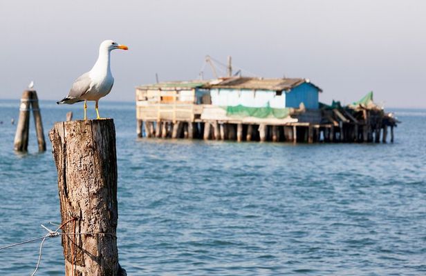 Pellestrina: Bike Hopping Around the Venice Lagoon Islands