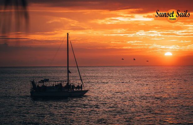 Sunset Sails Tours Morning or Afternoon