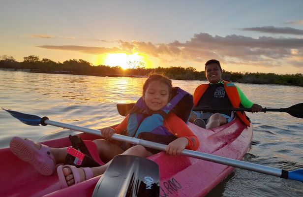 Kayak Experience in the Mangroves of Holbox Island