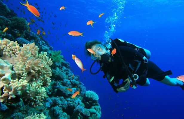Private Diving Experience in Nusa Dua with Hotel Pick Up