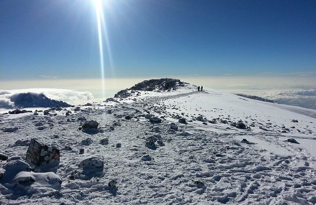 Climb Mt kilimanjaro Rongai Route 8Days/7Nights