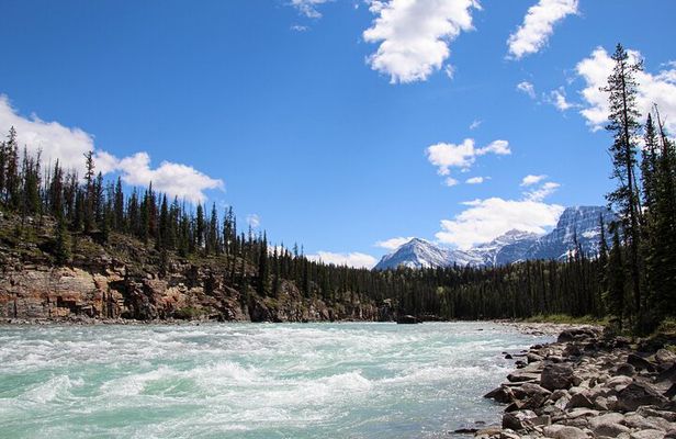 Rafting Athabasca Falls Run in Jasper