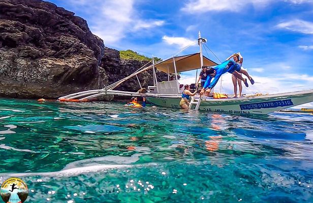 Moalboal Island Hopping (Pescador Island, Sardines and Turtles)