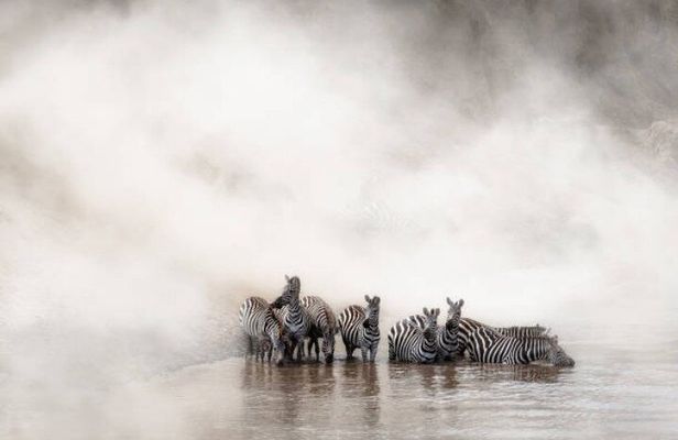 7-Day Safari to Maasai Mara, Lake Naivasha and Amboseli from Nairobi