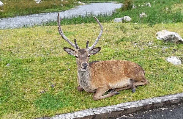 Fort William and Glencoe