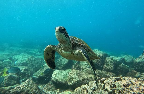 Day Tour to Floreana Island with Snorkeling and Fishing