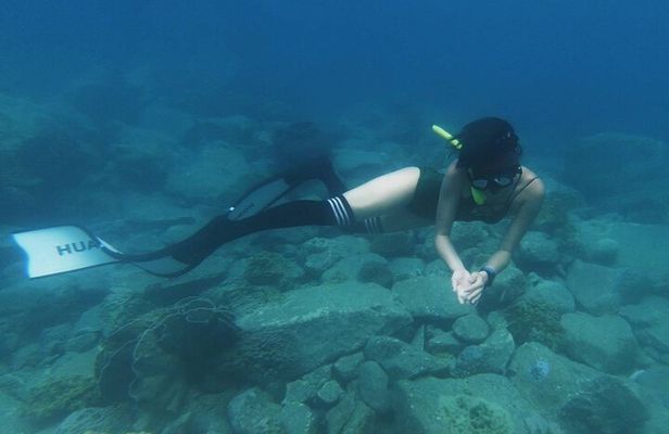 Freedive trip Koh Kood or Koh Rang National Park ( start at Ko Kut)