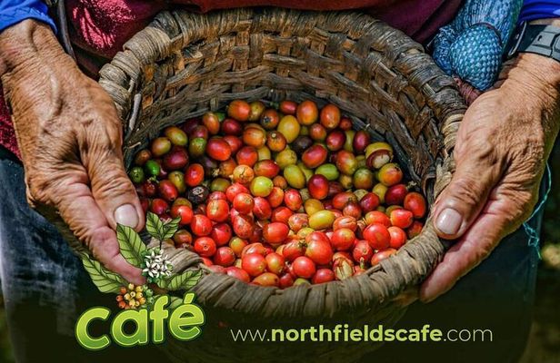 Costa Rican Coffee and Chocolate Crafting Experience: North Fields Cafe