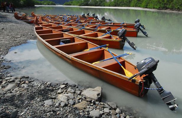 Full-Day Alaska Wildlife Voyageur Canoe Safari from Skagway