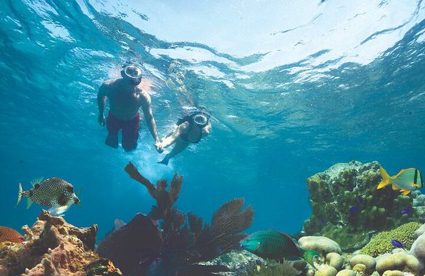 Key West Double-Dip Snorkel Tour-Two Stops, Twice the Fun!