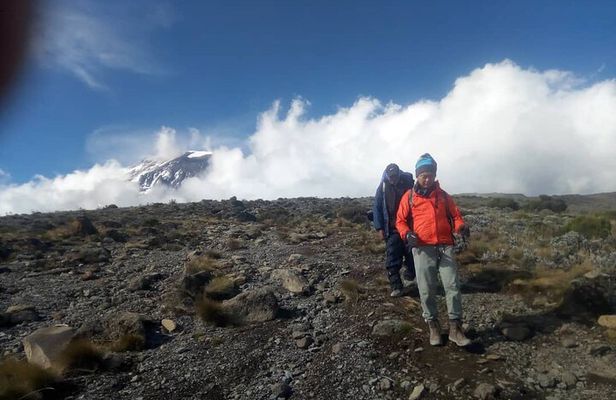 Small-group 7-day Lemosho Route Kilimanjaro Climb from Arusha