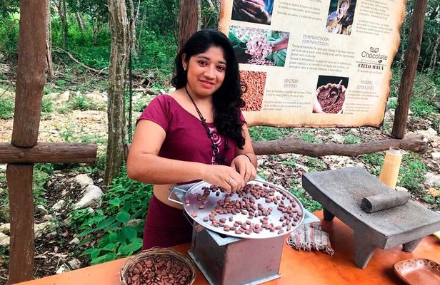 Tulum: Chocolate & Honey Sanctuary Experience with Cenote