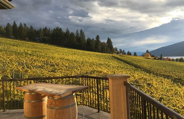Lake Country 5Hour 5 Winery Tour