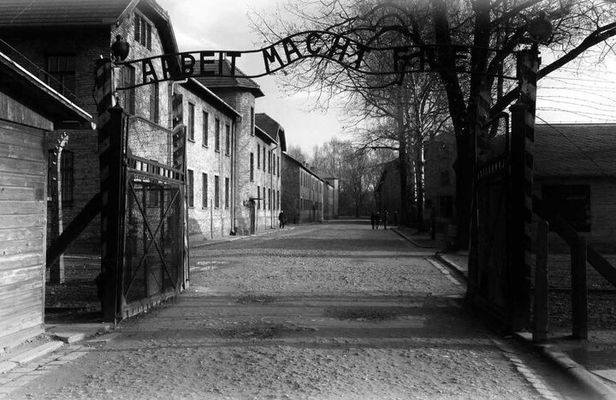 Auschwitz & Birkenau Museum Guided Tour from Krakow with Tickets