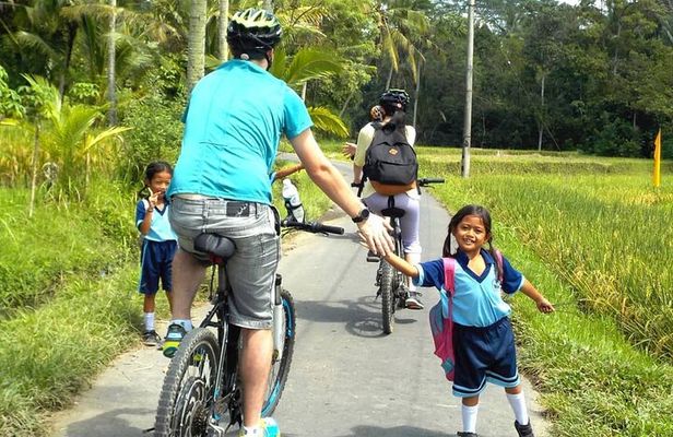 Tetebatu Cycling Tour: Ricefields, Monkey Forest, & Bamboo Craft