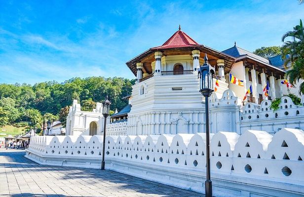 Sri Lanka Tour/6 Days+Friendly Chauffeur +vehicle+accommodation H/B basis
