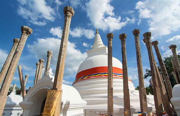 Sri Lanka Private Tour 8 days-Driver/vehicle/accommodation H/B