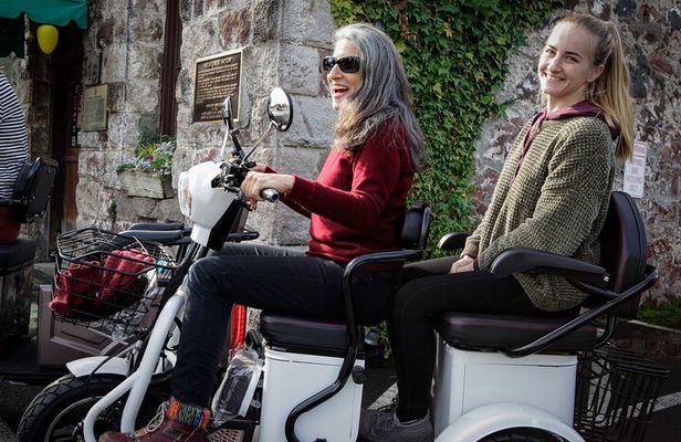 Sonoma Wine Country Electric Trike Tour - 3 hours