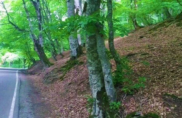 3 Days/2 Nights Tusheti Region Jeep Tour Package in Georgia